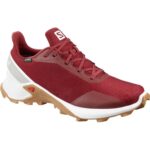 Pantofi Alergare   ALPHACROSS Gore-Tex Barbati