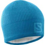 Caciula Ski LOGO BEANIE Unisex